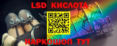 прущие грибы Будённовск