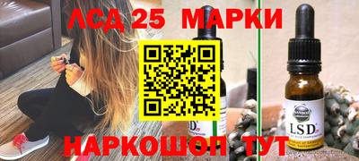 прущие грибы Будённовск