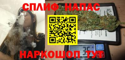 прущие грибы Будённовск