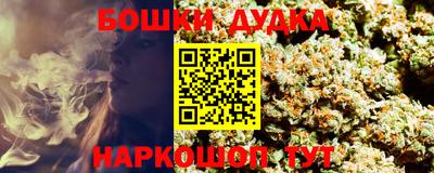 прущие грибы Будённовск