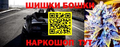 прущие грибы Будённовск