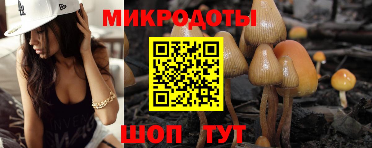 Галлюциногенные грибы Psilocybe Азов