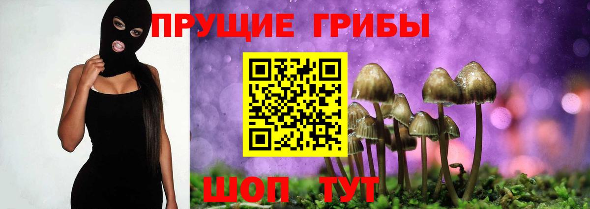 Псилоцибиновые грибы GOLDEN TEACHER  Вход с VPN  Азов 